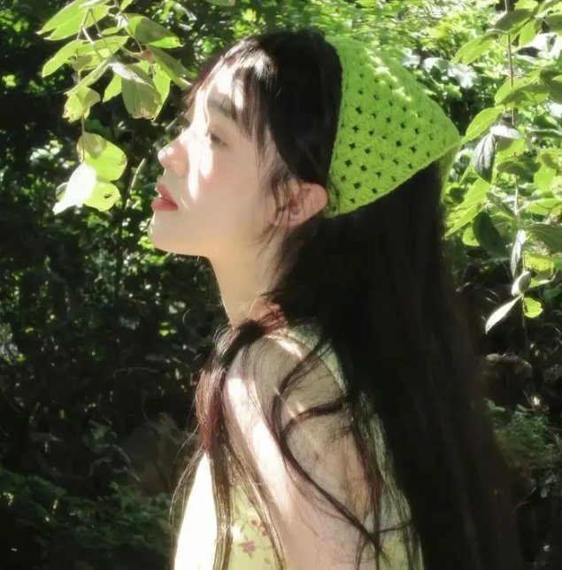 火星罗宾森